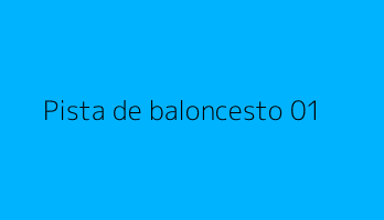 Pista de baloncesto 01